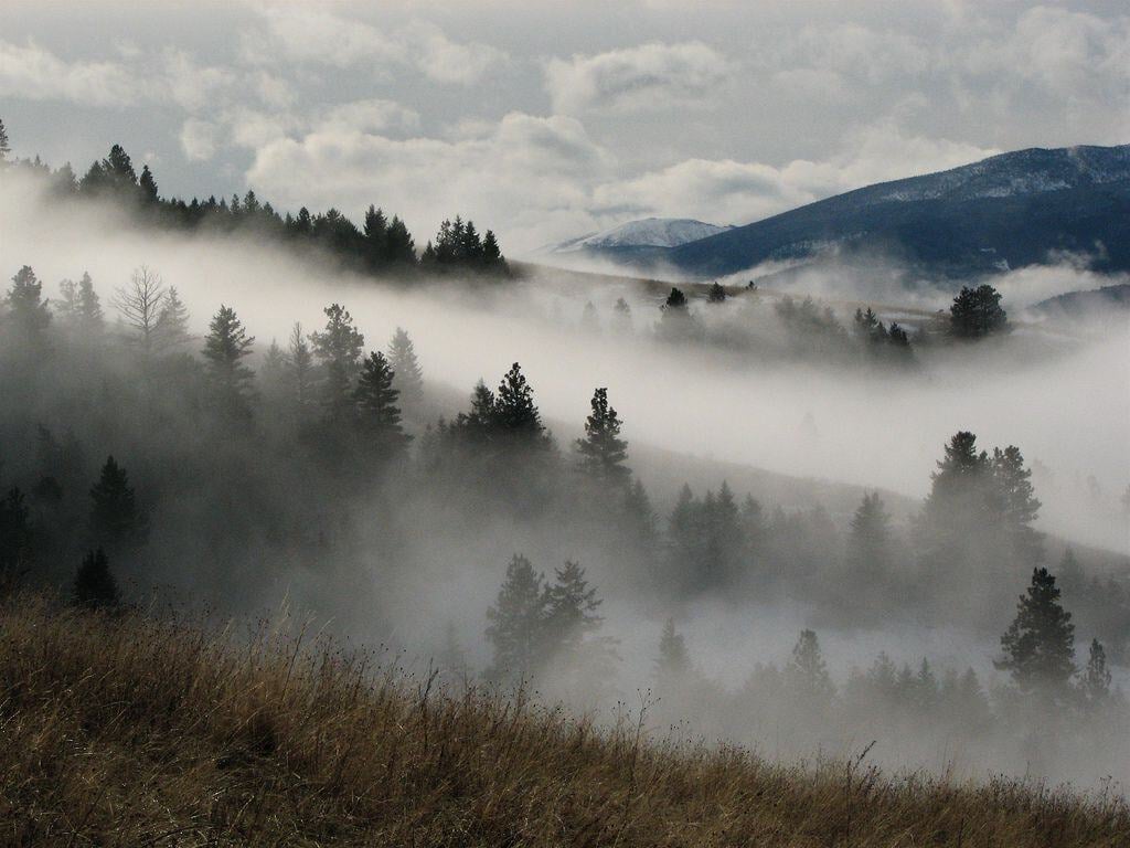 __opt__aboutcom__coeus__resources__content_migration__mnn__images__2016__02__fog-bitterroot-mountains-4807feab43334256aded341517fae38f